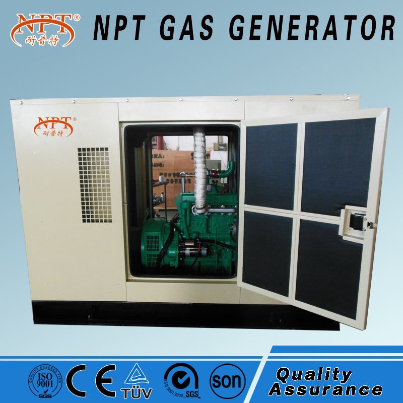 Customized CE Approved 20 kw Biogas Generator Price