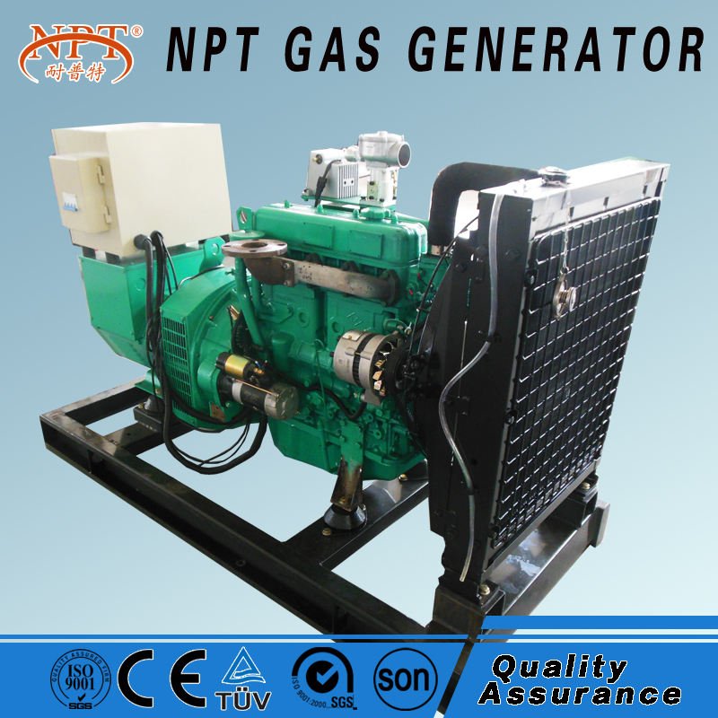 Customized CE Approved 20 kw Biogas Generator Price