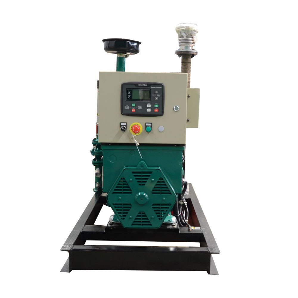 10 kW 20 kW 30 kW 40 kW 50 kW 60kW 50/60 HZ LPG Gas Generator Set