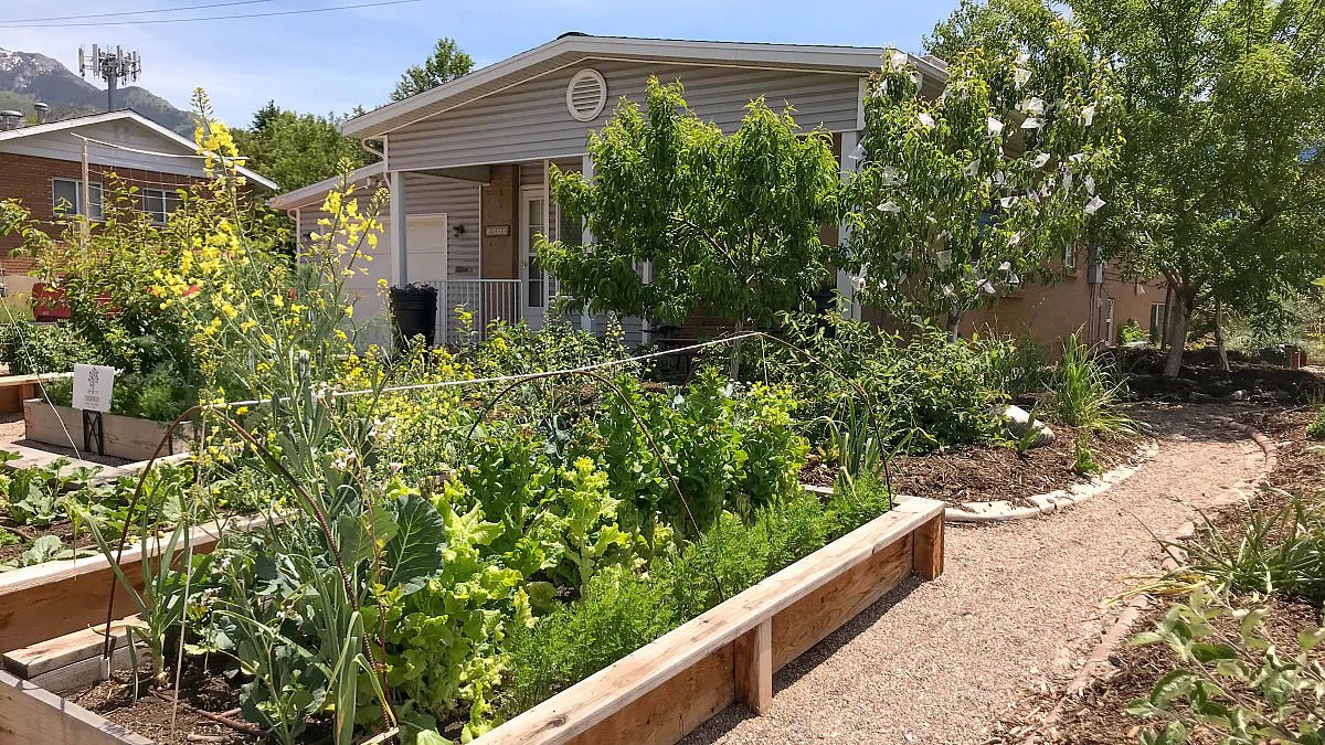 Organic Garden Vegetable Packet for Artificial Flowers for Floor Usage in Garden Flower Pots & Planters