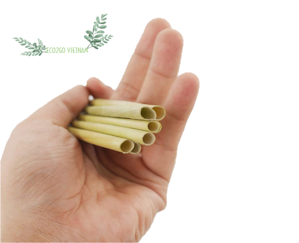 Top Seller and Hot Trending Natural Grass Straws Drinking Vietnam With High Quality Made by Eco2go Vietnam Manufacturer