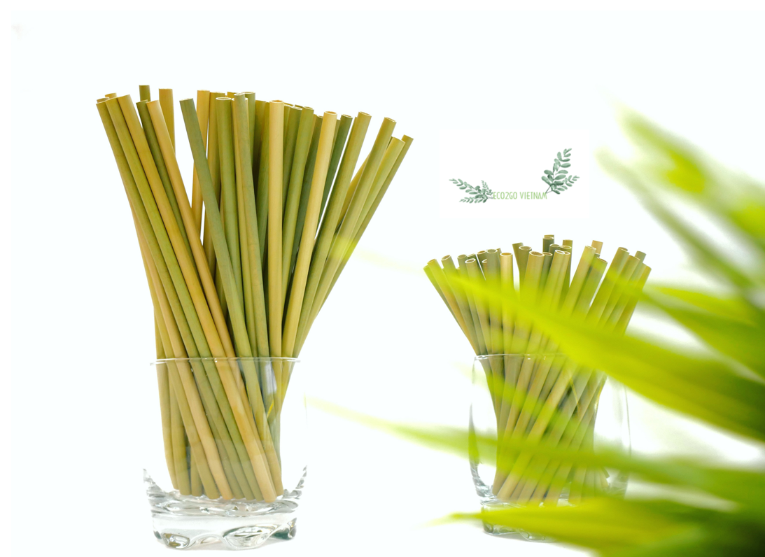 Top Seller and Hot Trending Natural Grass Straws Drinking Vietnam With High Quality Made by Eco2go Vietnam Manufacturer