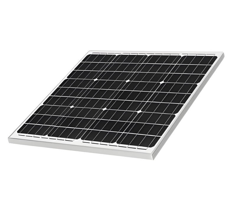 New Arrival 50W 60w Customized Rigid Glass Solar Panel Monocrystalline Photovoltaic PV Panels From China for Henhouse Cowshed