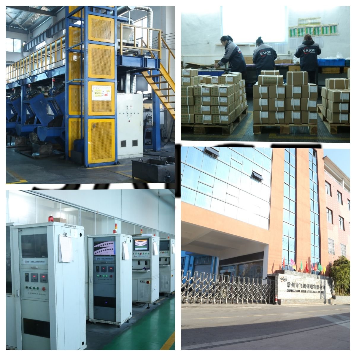 SAIGE 1.0mm Mini GCr15 Chrome Steel Ball G10 for Micro Precision Instrument Bearing High Accuracy