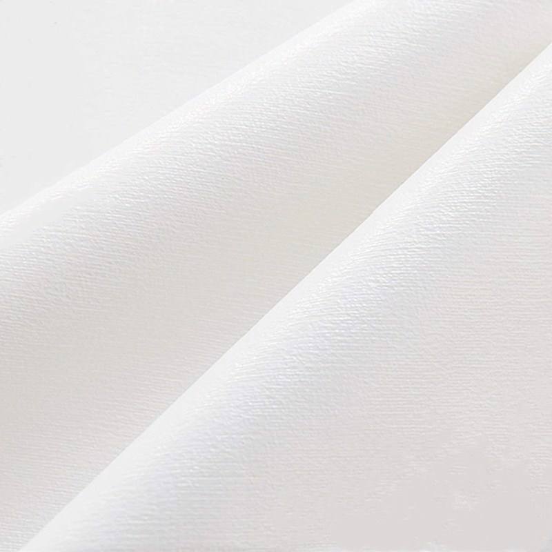 Hypoallergenic Full Twin Terry Fabric Waterproof Mattress Protector Cover Anti-Bacteria Air-permeable All-Season Home Hotel Use