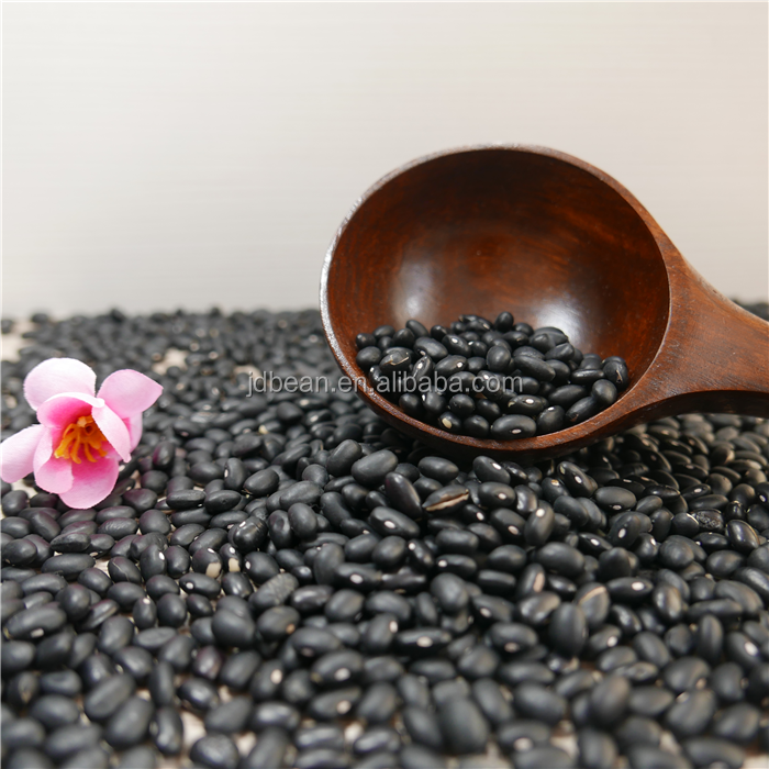 Nihewan Chinese Black Bean Dry Black Kidney Beans Fagioli Neri Biologici