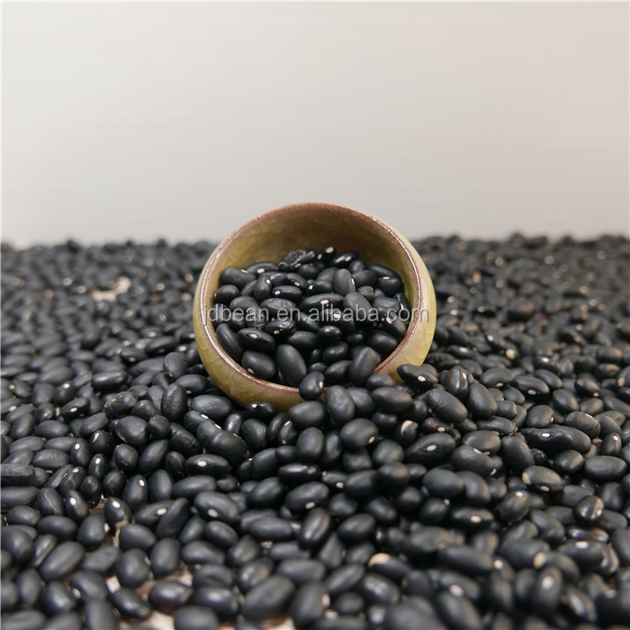 Nihewan Chinese Black Bean Dry Black Kidney Beans Fagioli Neri Biologici