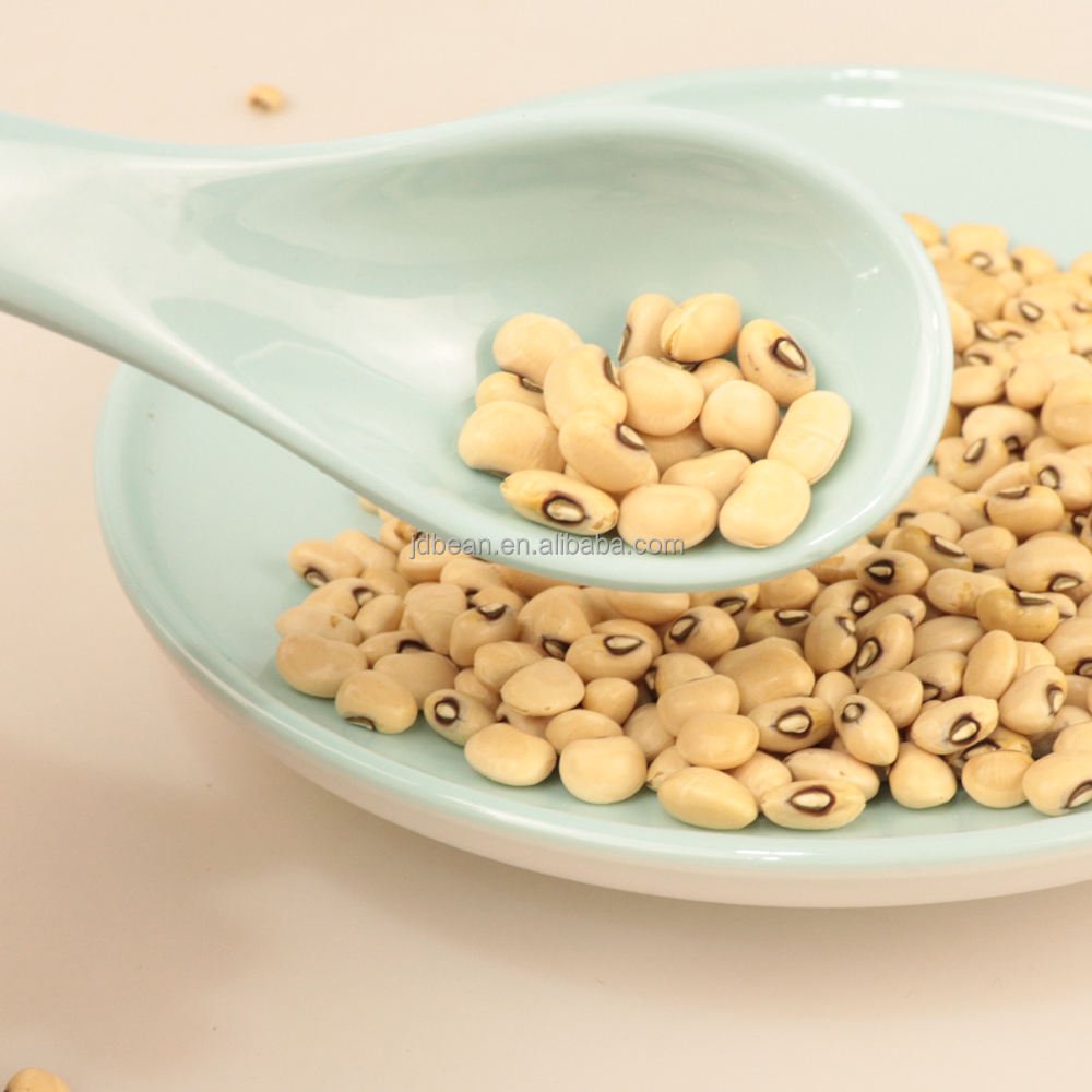Bulk Price White Cowpeas Raw Dry Bean Black Eye Bean Kacang Otok