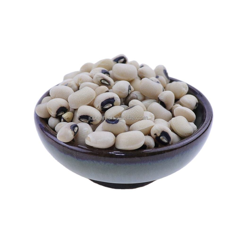 Bulk Price White Cowpeas Raw Dry Bean Black Eye Bean Kacang Otok