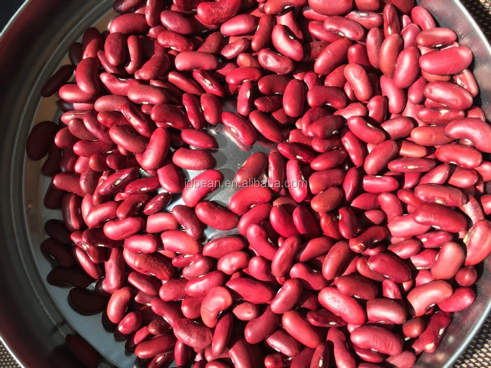 High Quality Raw Dried Fagioli Rossi Red Bean Wholesale Red Kidney Beans