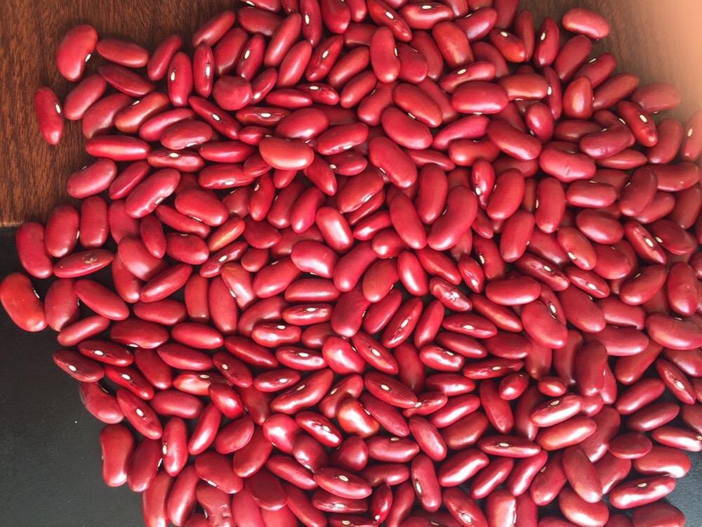 High Quality Raw Dried Fagioli Rossi Red Bean Wholesale Red Kidney Beans