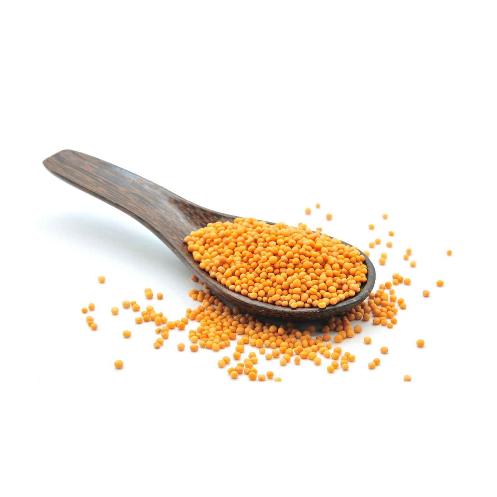 Premium Mustard Seeds Bulk Pack Cleaned, High-Quality Seeds for Wholesale and Export