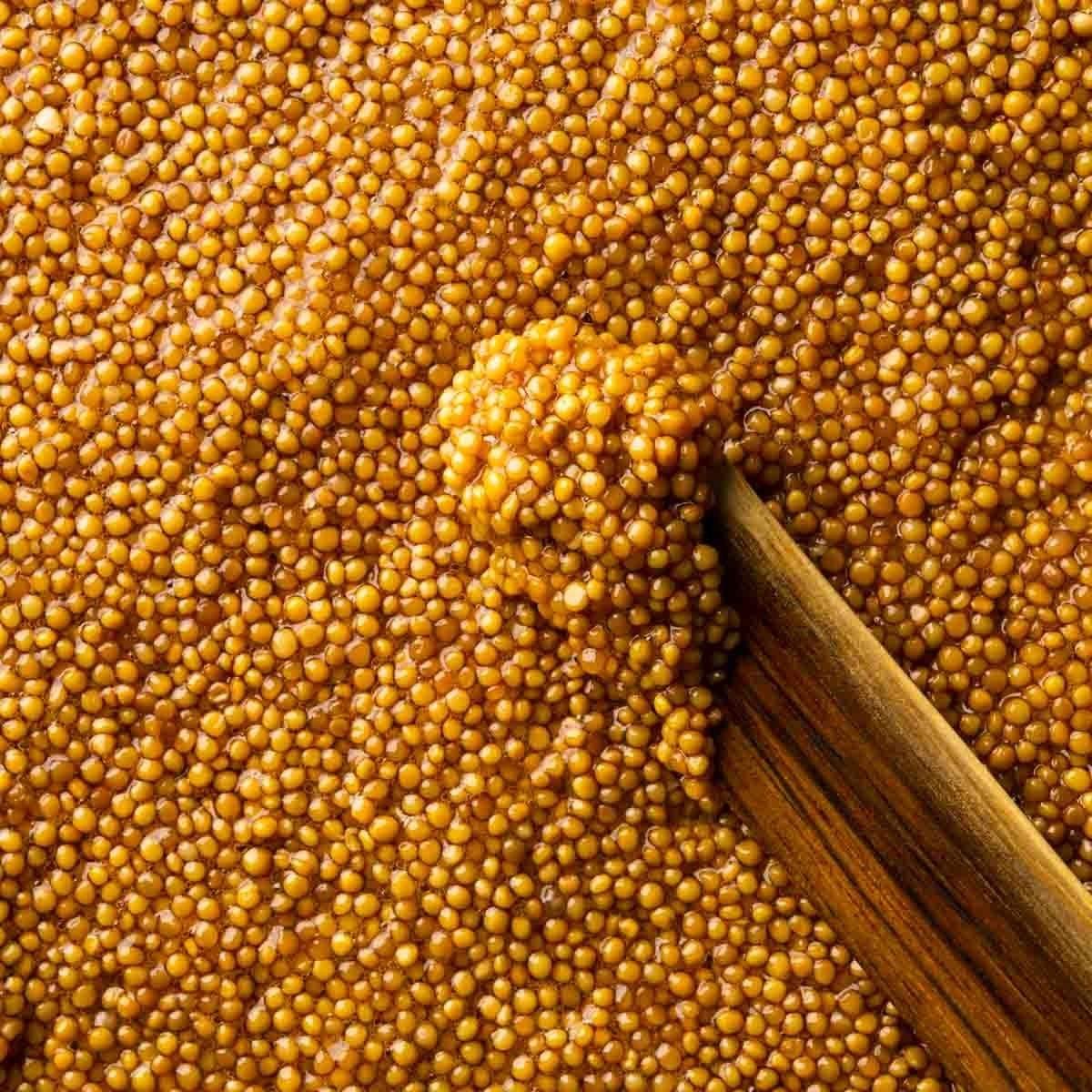 Premium Mustard Seeds Bulk Pack Cleaned, High-Quality Seeds for Wholesale and Export