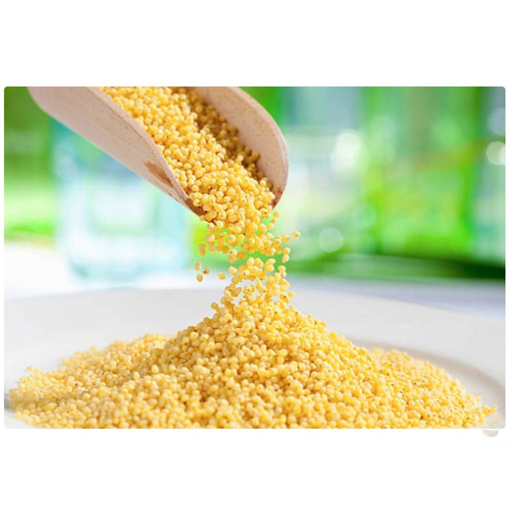 Organic Foxtail Millet High-Fiber, Nutritious, and Gluten-Free Grain for Healthy Recipes