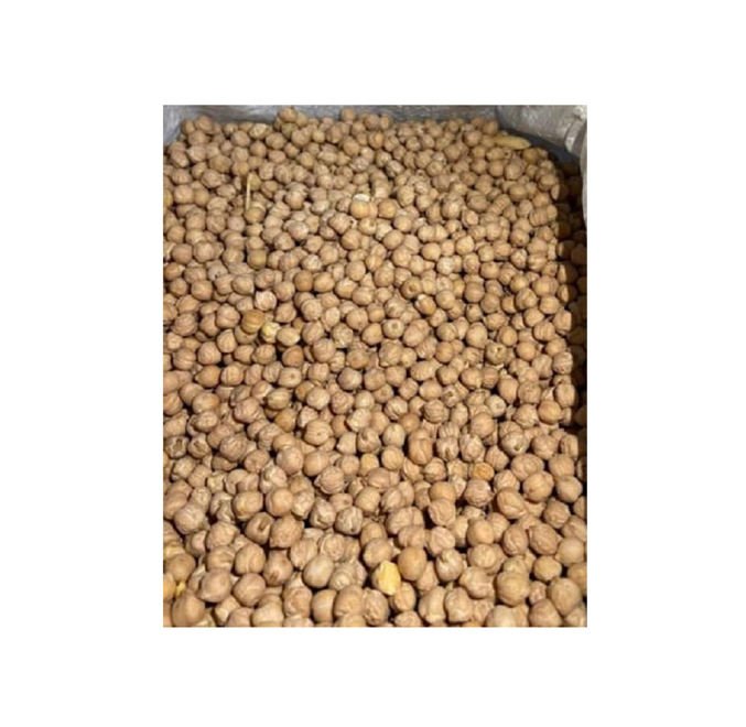 High Quality Organic Premium Grade Egypt Origin Export Top Selling Single Spices Healthy Dried Yellow Kabuli Chickpeas Bulk