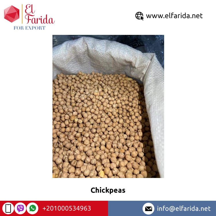 High Quality Organic Premium Grade Egypt Origin Export Top Selling Single Spices Healthy Dried Yellow Kabuli Chickpeas Bulk