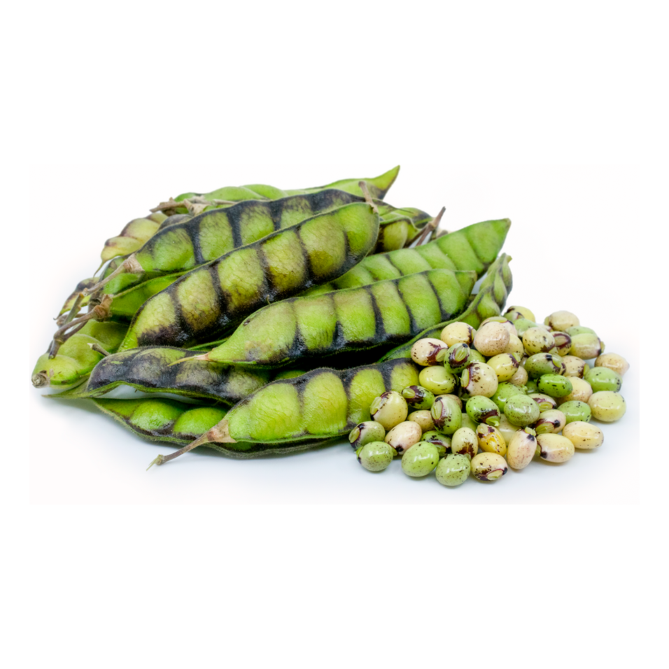 Whole Dried Pigeon Peas (Green Peas) Bulk Packaging Brazil Origin