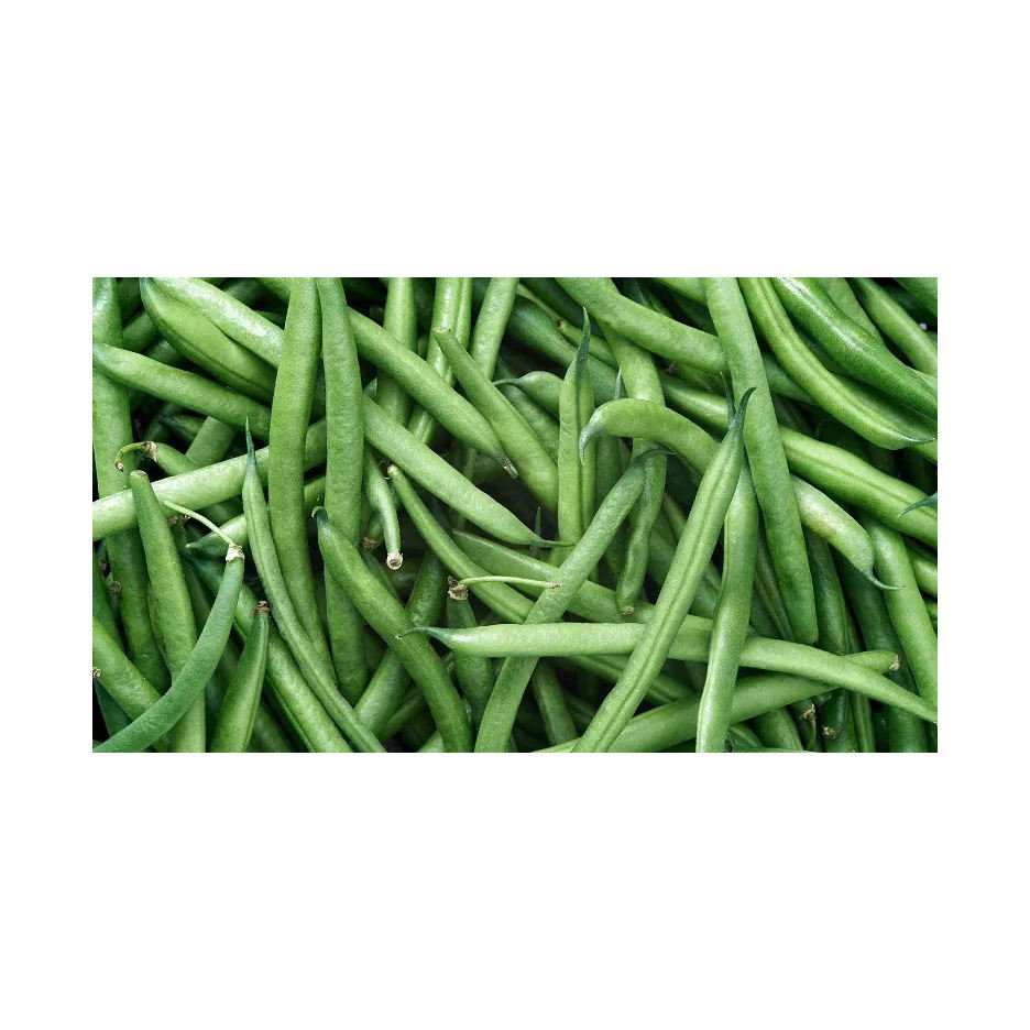 Whole Dried Pigeon Peas (Green Peas) Bulk Packaging Brazil Origin