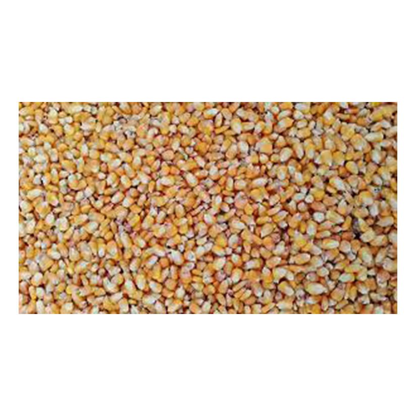 High Quality White Corn for Animal & Poultry Feed Brazil Origin Customer Packing Wholesale From Factory