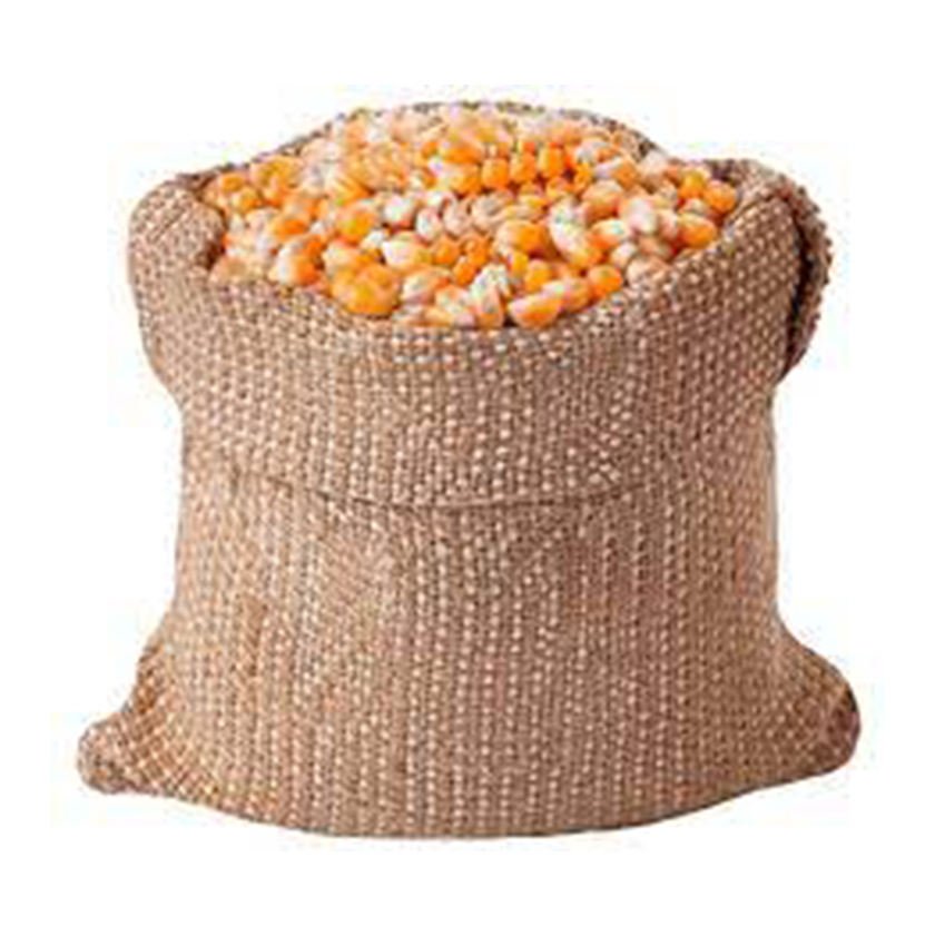 High Quality White Corn for Animal & Poultry Feed Brazil Origin Customer Packing Wholesale From Factory