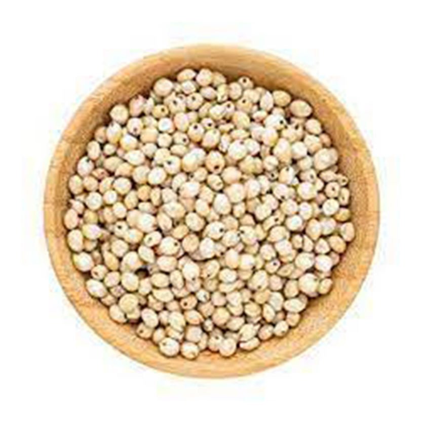 Quality White Sorghum Seeds Brazil Origin 100% High-quality Food Use Wholesale Factory Direct Best Material with Cheap Rate