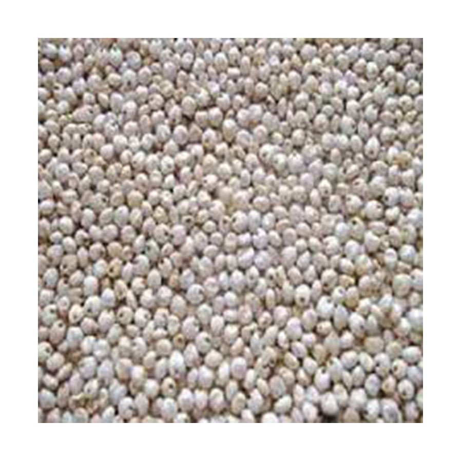 Quality White Sorghum Seeds Brazil Origin 100% High-quality Food Use Wholesale Factory Direct Best Material with Cheap Rate
