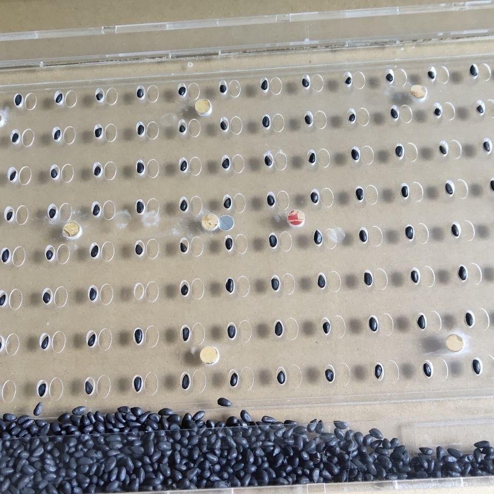 Handheld Plastic Seed Sowing Tool for Many Different Plant Seed Sowing for Farm Greenhouse Use