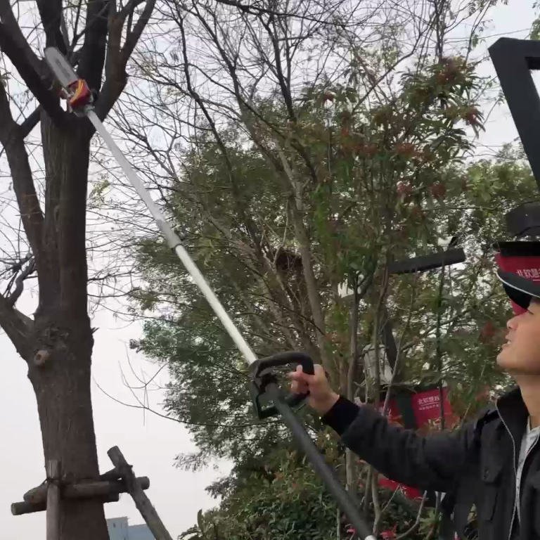 High Quality Industrial OEM Long Reach Hedge Trimmer with 25.4cc Engine 12 in Guide Bar 2.8m Length