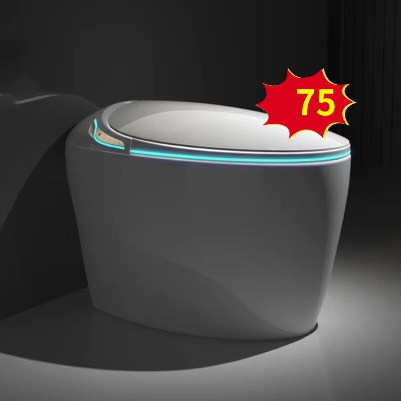 Hot Selling Automatic Bathroom Egg Shaped All in One Fully Automatic Smart Toilet with Remote Control Electric Bidet Custom Oem