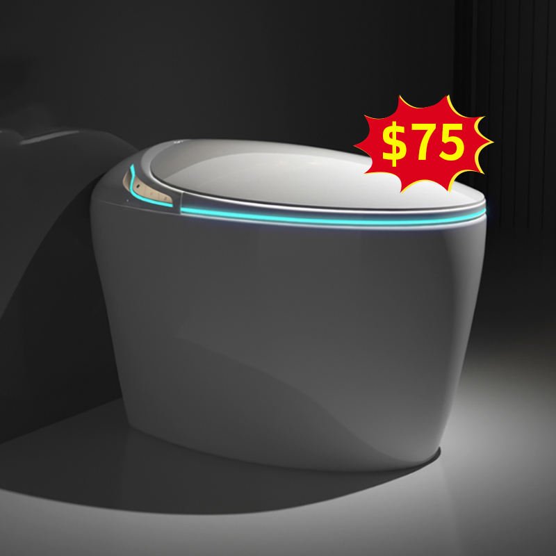 Hot Selling Automatic Bathroom Egg Shaped All in One Fully Automatic Smart Toilet with Remote Control Electric Bidet Custom Oem