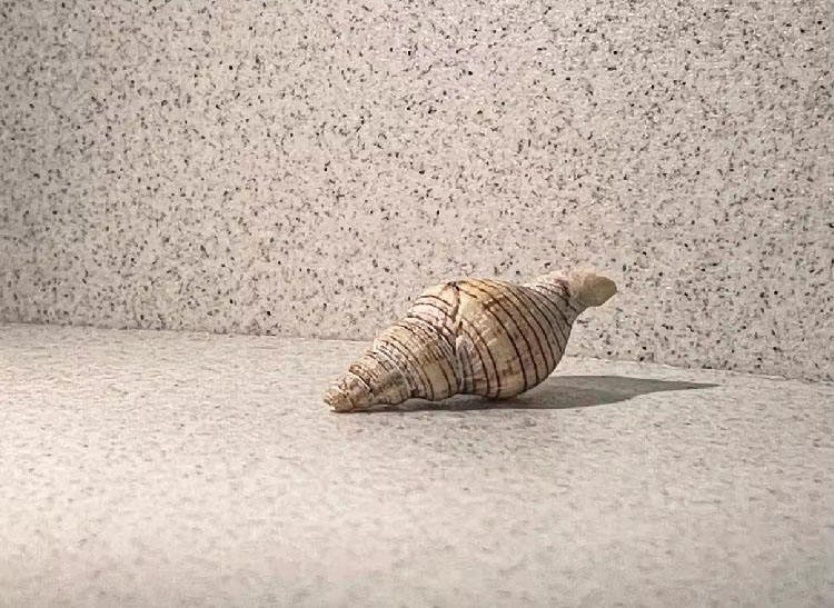 Color Stone Paint - Easy Construction with Direct Scraping, Spray-Free, Smooth Flat Surface for Indoor & Outdoor Use