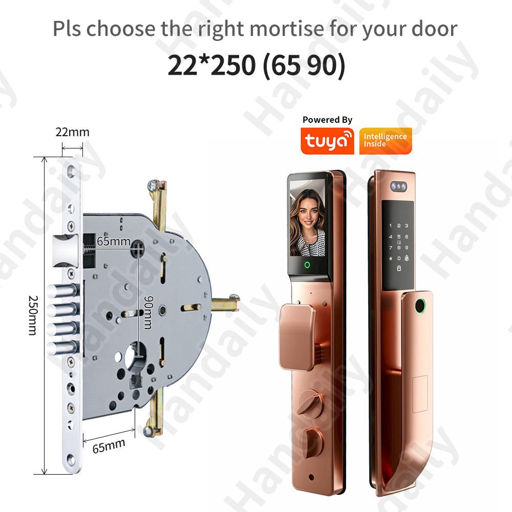 HanDaily Waterproof Smart Door Locks with Camera Video Intercom Palm Face Recognition Smart Lock Tuya Wifi App Remote Control