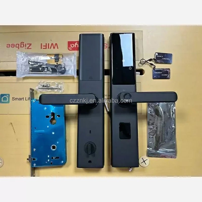 Keyless Smart Fingerprint Door Lock Aluminum Alloy WiFi Tuya App Memory Card Wood/Aluminum Door Office High Security