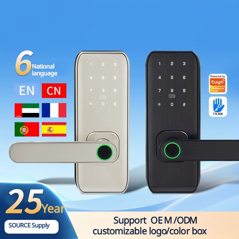 New Product Security Electronic Handle Digital Tuya TT Lock Cerraduras Inteligentes Con Wifi Keys Fingerprint Door Smart Locks