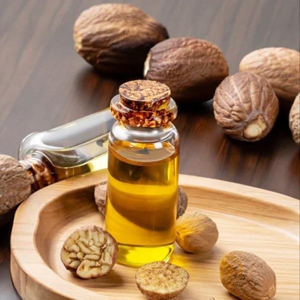 100% Pure Natural Nutmeg Herbal Extract Oil Wild-Cultivated Fruit Liquid in Plastic Container