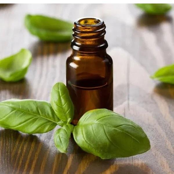 Holy Basil Oil