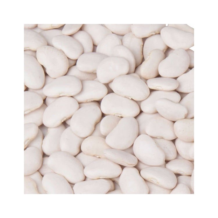 High Quality Premium Dried White Lima Beans Big 100% Purity GMO Bulk Packaging US Origin 18-24 Months Shelf Life 25kg