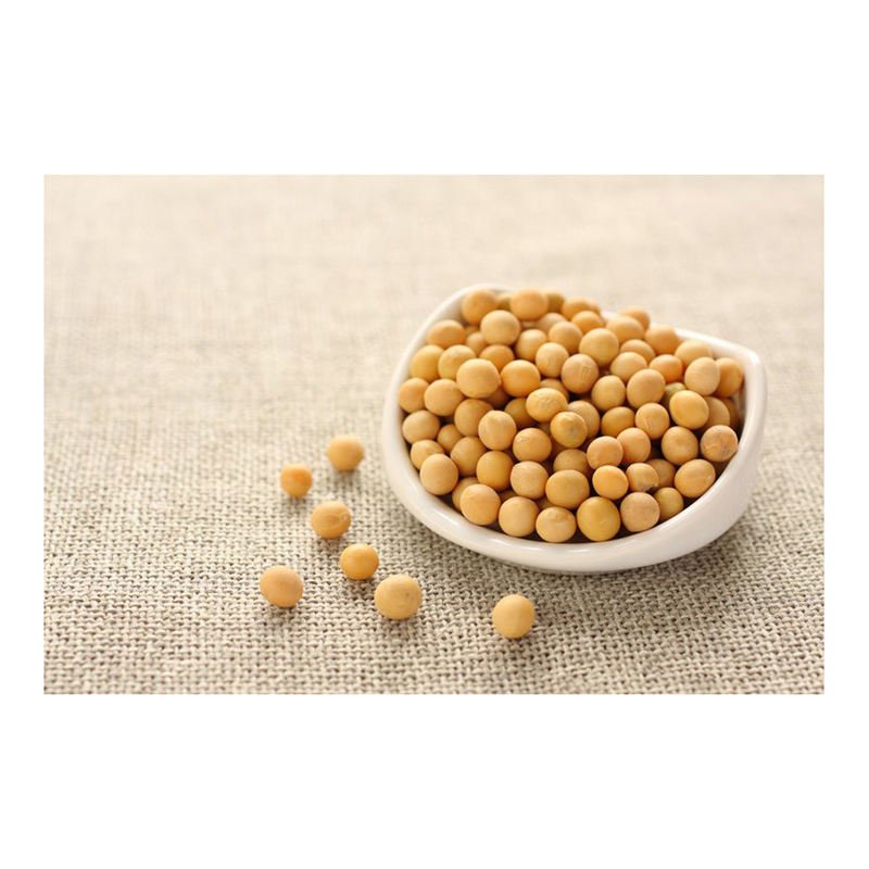 Bulk Price Hot Sale New Crop GMO and Non GMO Soyabean/Soybean Ready for Sale in Best Price