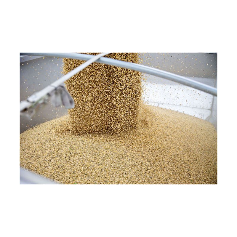 Bulk Price Hot Sale New Crop GMO and Non GMO Soyabean/Soybean Ready for Sale in Best Price