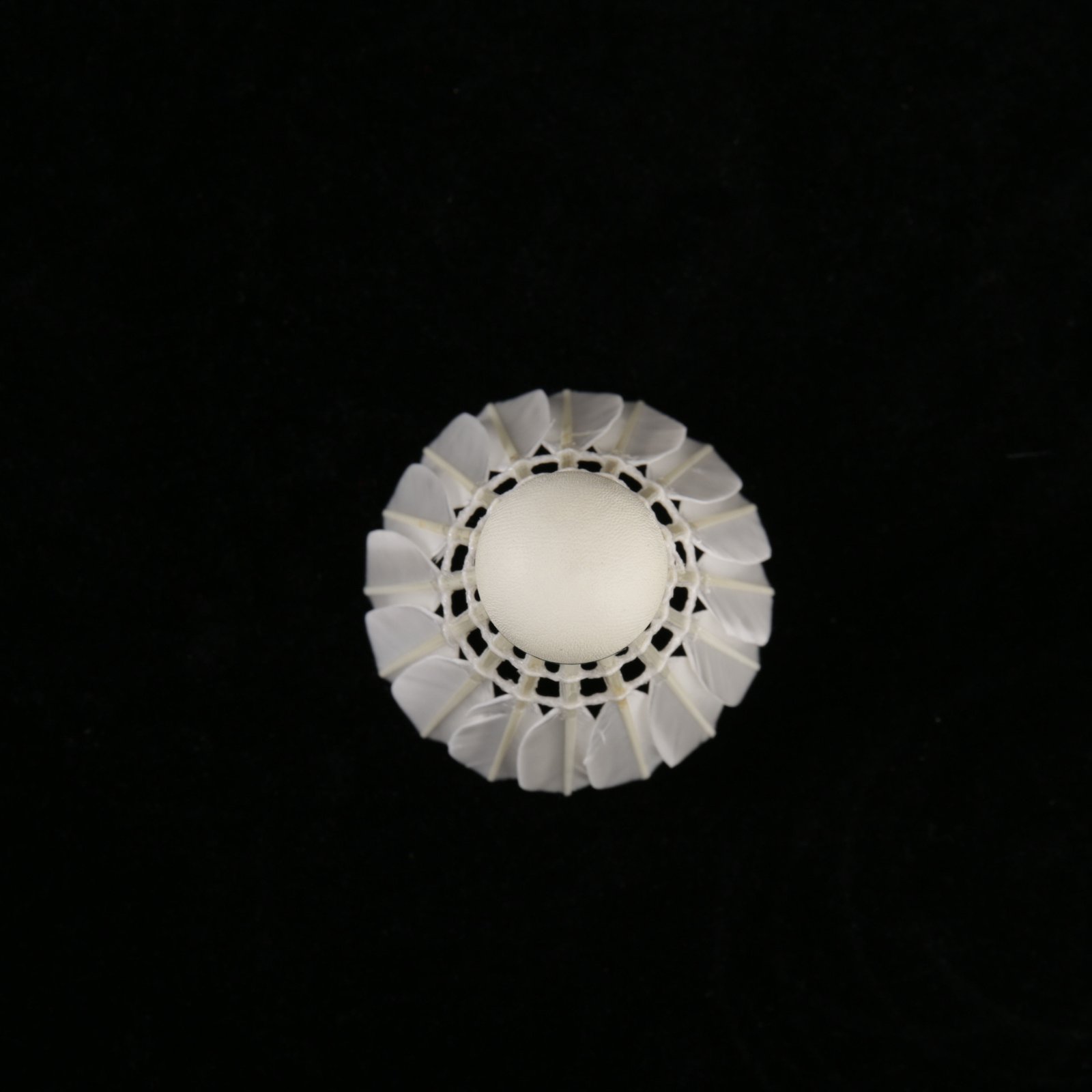 Shuanglang No.2 Shuttlecocks for Professional Competitions,Professional Team Use