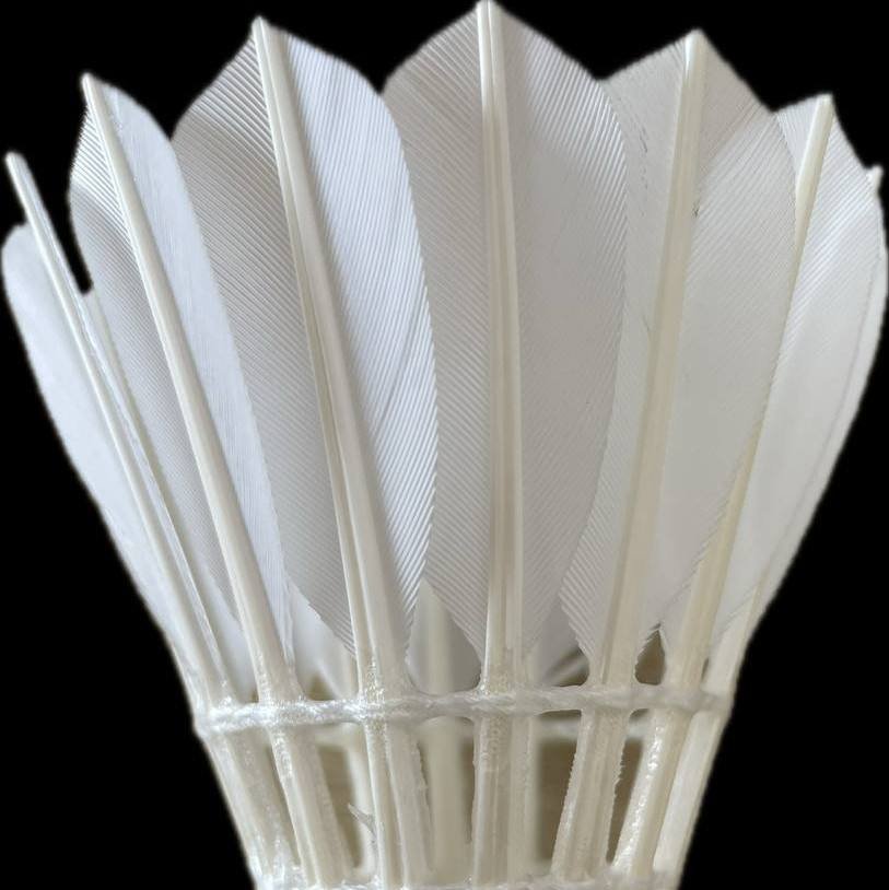 Shuanglang Badminton Shuttlecock Sample Balls. Please Consult Customer Service Before Ordering.