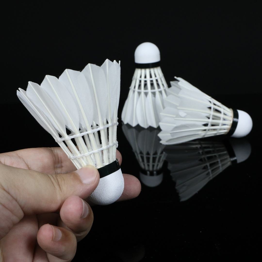 Shuanglang OEM Fee, Exclusive to Fans.badminton