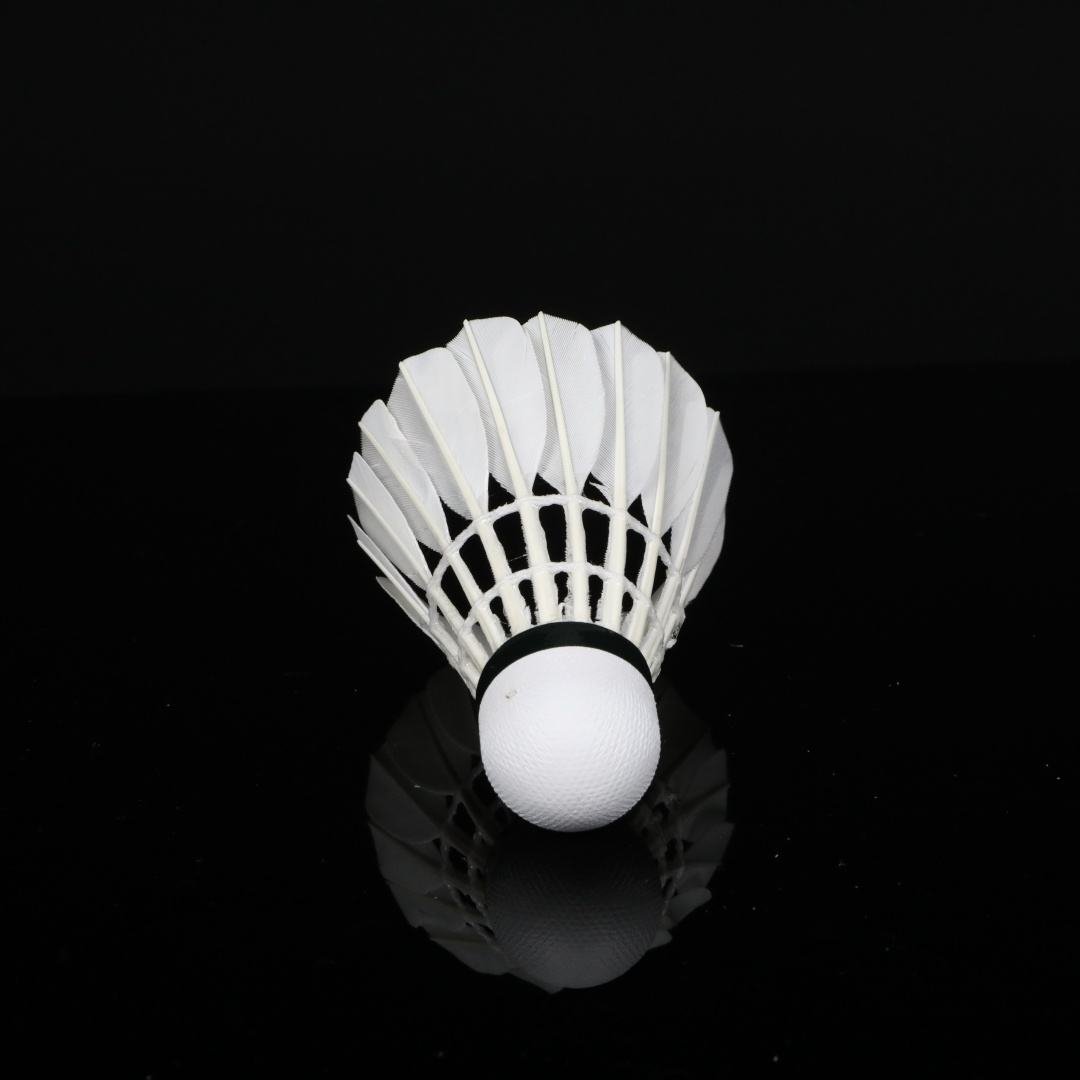 Shuanglang OEM Fee, Exclusive to Fans.badminton