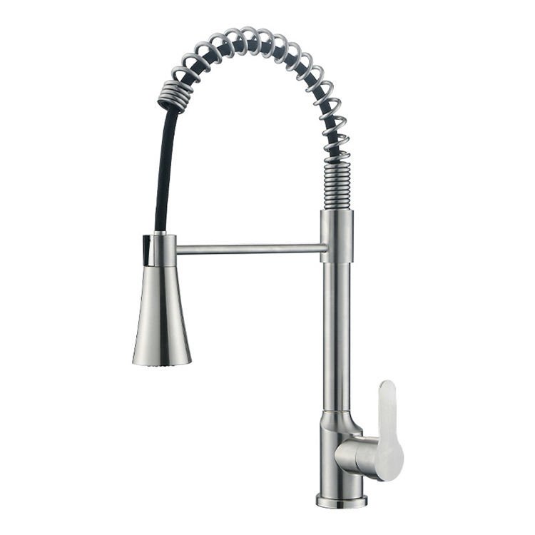 304 Stainless Steel Modern Single Handle Kitchen Faucet with Pull-Down Sprayer and Flexible Spout