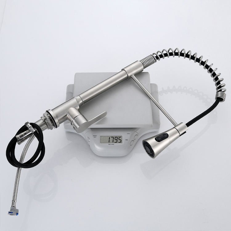 304 Stainless Steel Modern Single Handle Kitchen Faucet with Pull-Down Sprayer and Flexible Spout