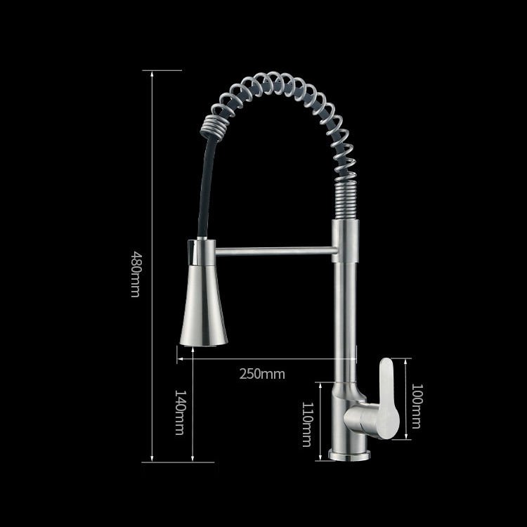 304 Stainless Steel Modern Single Handle Kitchen Faucet with Pull-Down Sprayer and Flexible Spout
