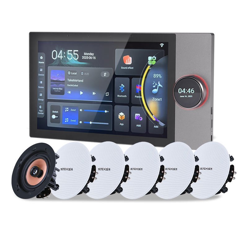 Smart Home Background Music System Two Zones Tuya zigbee Google Play 10 Inch Intelligent Central Control Panel Wall Amplifier