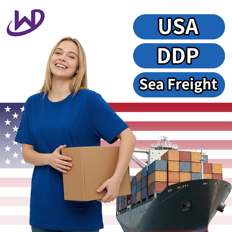 Shenzhen Wangpai International Logistics Co., Ltd.
