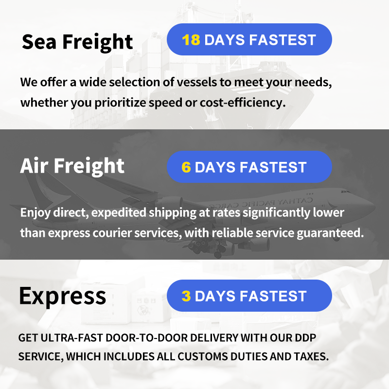 Shenzhen Wangpai International Logistics Co., Ltd.