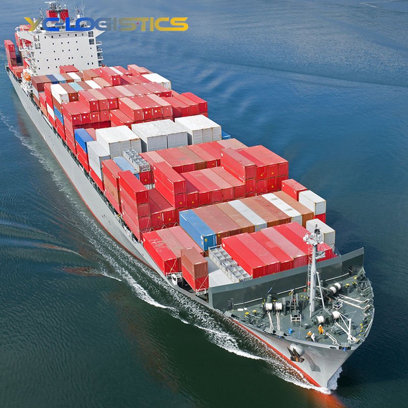 Shenzhen Freight Forwarder Sea Freight Lcl Shipping Agent From China to Canada